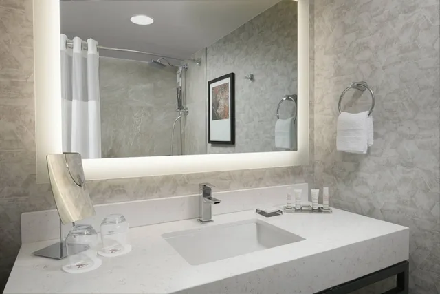 غرفة بسرير كينج لذوي الإعاقة، Houston Marriott Medical Center/Museum District 2/3