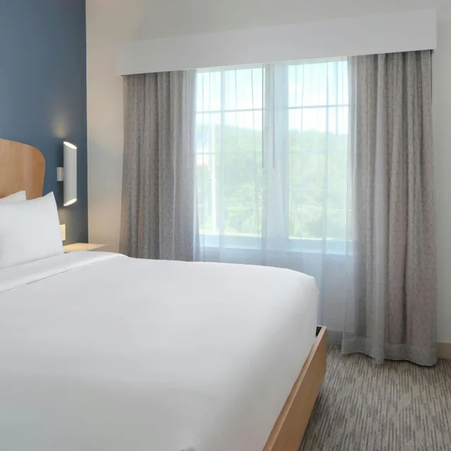 جناح بسرير كينج بغرفة نوم واحدة مع أريكة، Magnuson Hotel Lenox 1/3