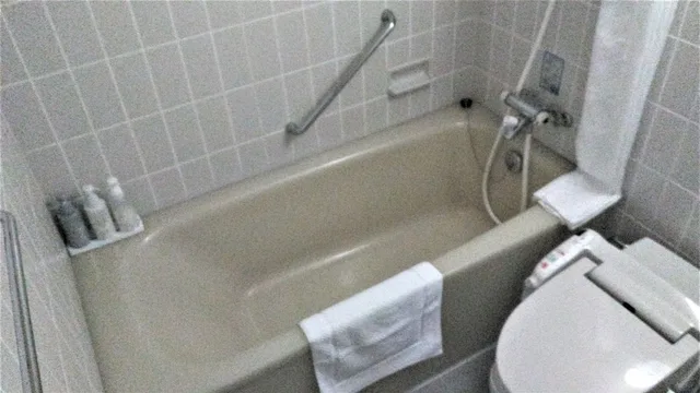 غرفة سوبيريور بسريرين منفصلين مع أريكة، Satsuma Resort Hotel 3/3