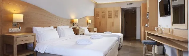 غرفة بإطلالة على الحديقة، Lyttos Beach Hotel 1/1