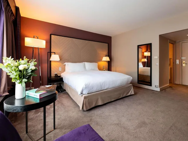 غرفة فاخرة بسرير كينج بإطلالة لذوي الإعاقة، Sofitel Strasbourg Grande Ile Hotel 4/10