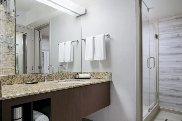 Room, King Bed, Hyatt Regency DFW International Airport 5/6