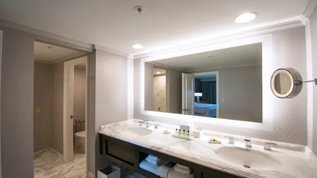 جناح بسرير كينج بإطلالة، InterContinental Kansas City at the Plaza 6/7