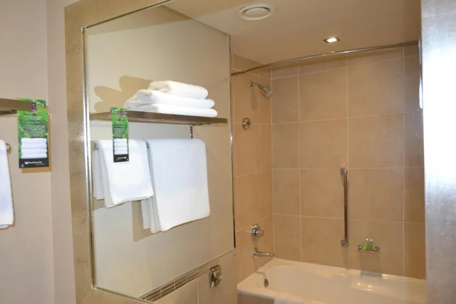 غرفة تنفيذية بسرير كينج للمدخنين، Southern Sun Pretoria 8/8