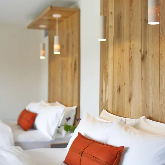 Room, Queen Bed, Partial View، Hotel Vermont 2/5