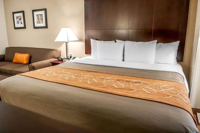 جناح بسرير كينج، Comfort Suites Albuquerque/North Journal Center 1/3