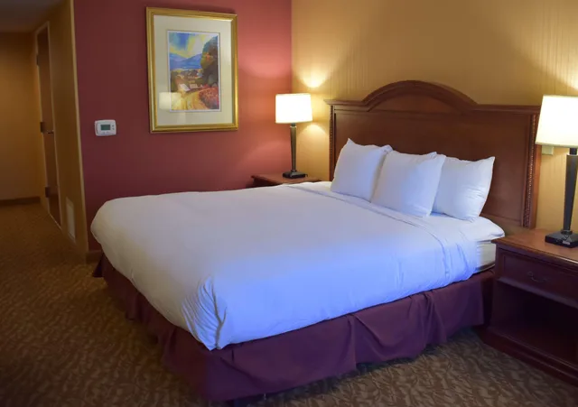 Standard, Double Bed, DoubleTree by Hilton Hotel Asheville Biltmore 1/3