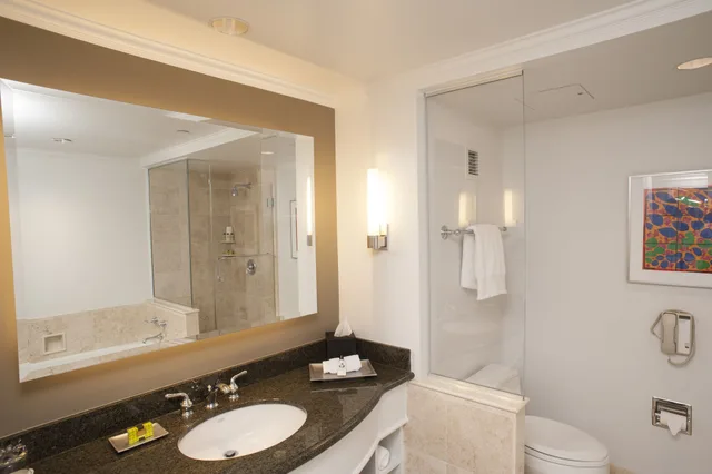 Classic, King Bed, Bath and Shower، InterContinental Cleveland 3/3