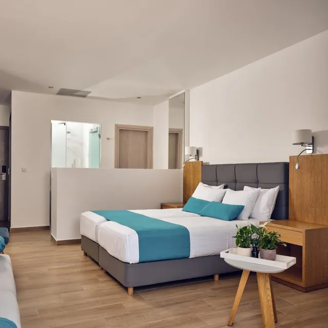 جناح جونيور بإطلالة على البحر، Cavo Orient Beach Hotel 3/5