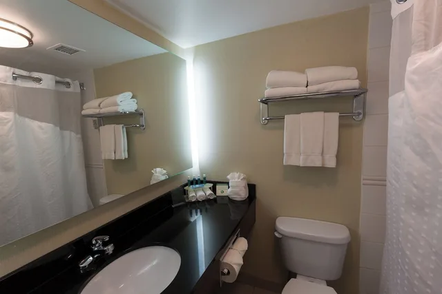 غرفة قياسية بسريرين كوين بشرفة، Holiday Inn Express Edmonton Downtown 4/4
