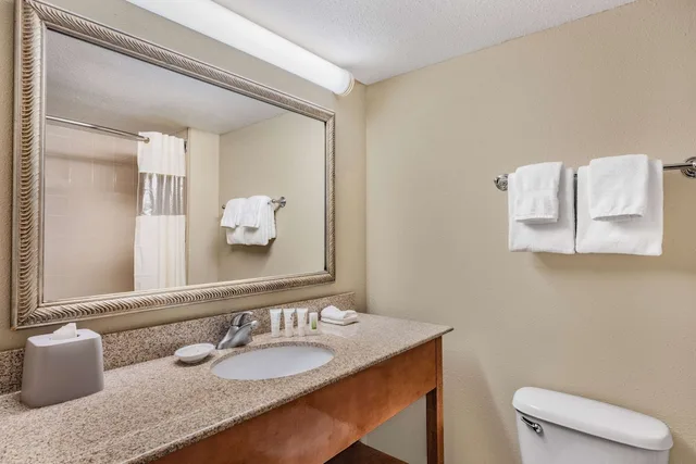 Executive, King Bed, Forest View، La Quinta Inn & Suites by Wyndham Minneapolis-Minnetonka 1/1