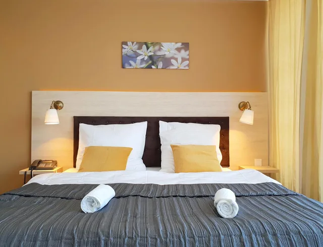 Deluxe, Double Bed, Bathtub, Hotel Denbu 7/10