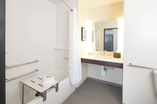 غرفة قياسية بسرير كينج لذوي الإعاقة، Holiday Inn Kalamazoo West 7/7
