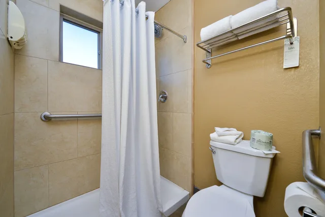 Standard, King Bed, Accessible, Royal Sun Inn & Suites 6/6