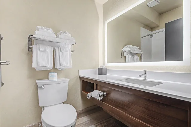 غرفة قياسية بسرير كينج لذوي الإعاقة، Holiday Inn Clarkston - Lewiston 6/9