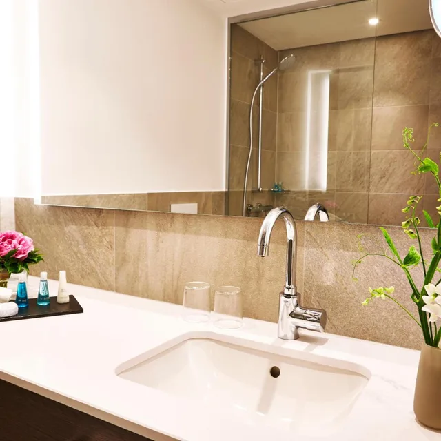 غرفة سوبيريور بسرير كينج، Steigenberger Hotel Koln 3/6