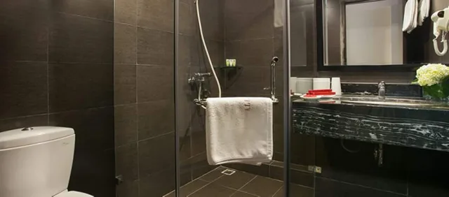 Deluxe, Double Bed, La Sante Hotel Spa 4/4