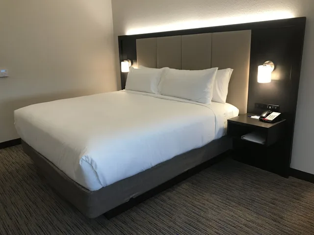 Standard, King Bed, Holiday Inn Express & Suites - Summerville 3/7