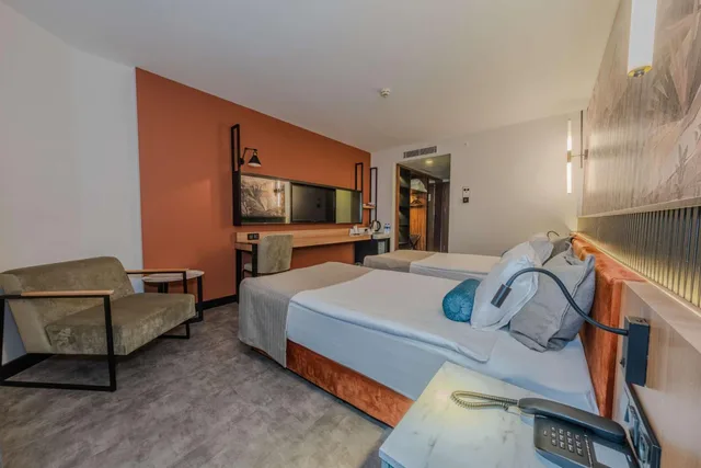 غرفة ديلوكس بسرير كينج بإطلالة على المدينة، Best Western Plus Khan Hotel 2/7