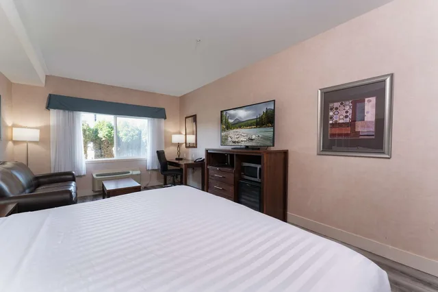 Room, King Bed, Sofa, Pet Friendly, Prestige Cranbrook Hotel, BW Premier Collection 1/1