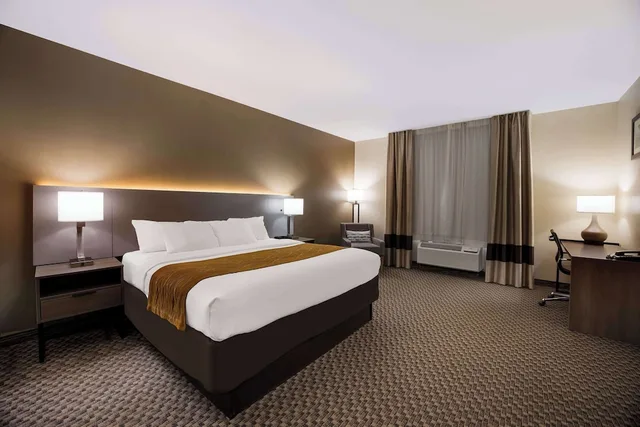 غرفة قياسية بسرير كينج، Comfort Inn & Suites Midway - Tallahassee West 4/10