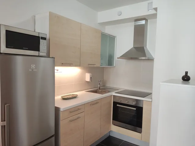 غرفة تنفيذية بشرفة بغرفة نوم واحدة، CORVIN CENTER SUITES 8/9