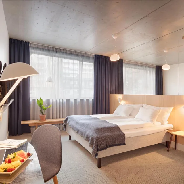 غرفة قياسية مفردة، ZANDER K HOTEL 5/11