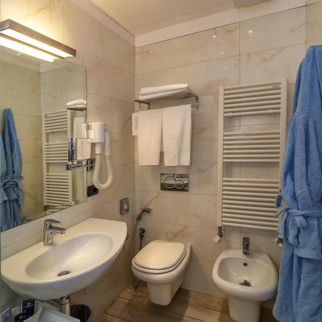غرفة ديلوكس بسرير مزدوج بإطلالة على المسبح، Hotel Central Park 9/9