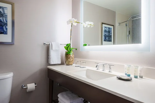 Guest Room, King Bed, Park View, The Westin South Coast Plaza 11/13