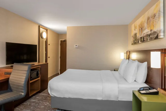 غرفة بسرير كينج يُسمح فيها بالحيوانات الأليفة في الطابق الأرضي، Comfort Inn Cambridge - Highway 401 4/7
