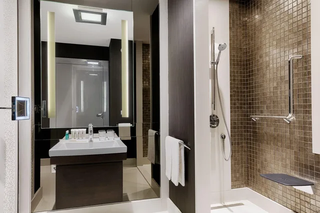 غرفة ديلوكس بسرير كينج بإطلالة على المدينة، Le Meridien Istanbul Etiler 7/9