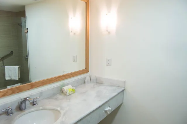 Premium, Queen Bed, Jumeirah Avenue View، Holiday Inn & Suites Guadalajara Centro Historico 7/8