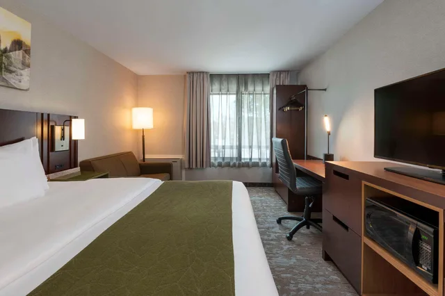 Upgrade, King Bed، Comfort Inn Sudbury East 3/4