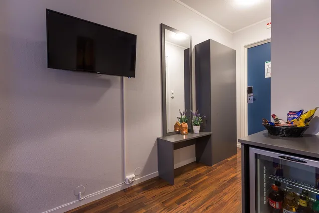 غرفة مفردة، Enter Viking Apartment 8/8