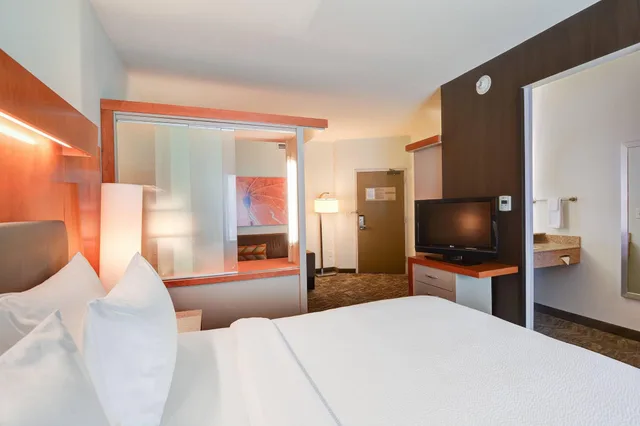 Studio, King Bed, Springhill Suites Shreveport-Bossier City/Louisiana Downs 1/6