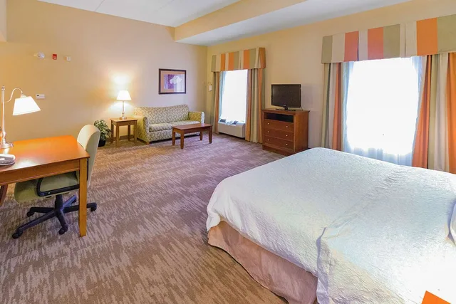 جناح استوديو بسرير كينج مع أريكة، Hampton Inn & Suites Blairsville 2/7