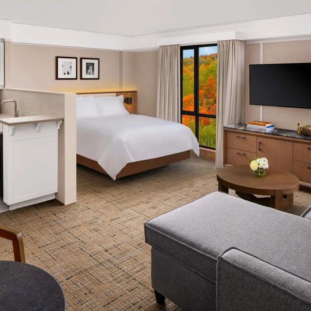 Renovated, Luxury, Studio, Suite, Queen Bed, Kitchen، Fairmont Tremblant 2/2