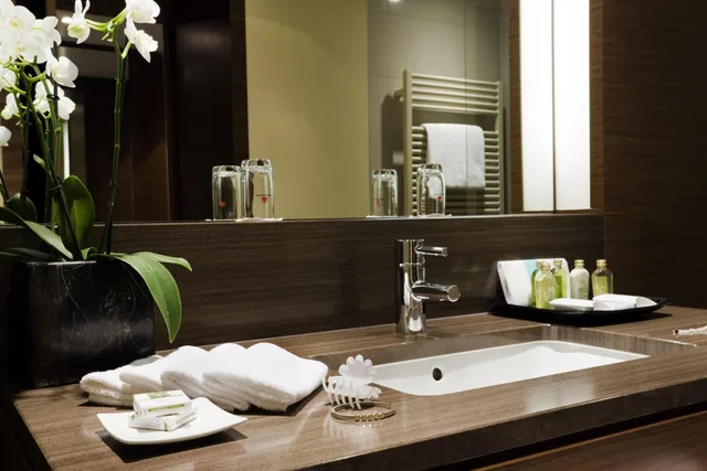 جناح بريفيليج، Mercure Hotel Dusseldorf City Center 2/2