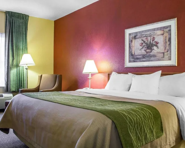 جناح بسرير كينج، Comfort Inn Green Valley 1/5