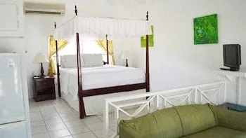 Studio, King Bed, Queen Bed, Sofa, Oualie Beach Resort 1/1