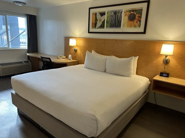 غرفة قياسية بسرير كوين، Hotel Nexus, BW Signature Collection 1/5