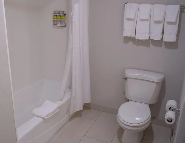 غرفة قياسية بسرير كينج، Holiday Inn Express Hotel Suites Conover Hickory Area 3/3