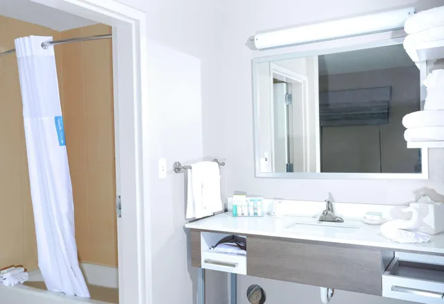 جناح استوديو بسرير كينج مع أريكة، Hampton Inn & Suites Tampa-Wesley Chapel 1/2
