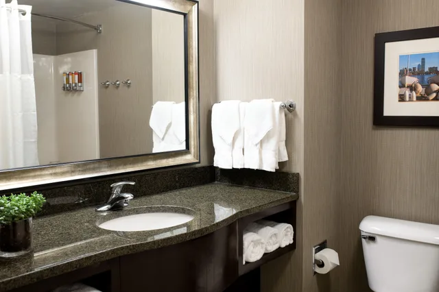 جناح بسرير كينج مع أريكة، Comfort Inn & Suites Logan International Airport 4/4