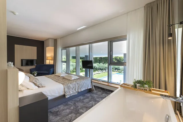 جناح فاخر بسرير كينج، Hotel Salona Palace 2/3
