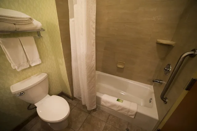 غرفة قياسية بسرير كينج لذوي الإعاقة، Holiday Inn Express Hotel Suites Atlanta East Lithonia 2/4