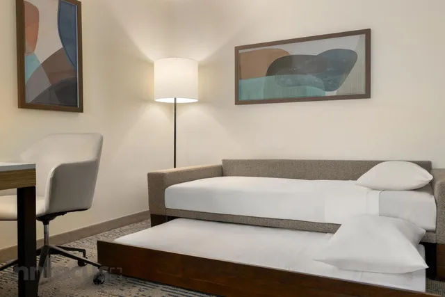 جناح بسريرين كوين لذوي الإعاقة، Springhill Suites Tampa Brandon 2/3
