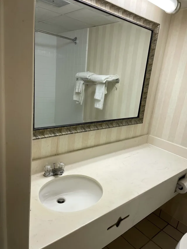 غرفة أساسية مفردة بسرير كينج، The Royal Inn & Suites 5/5