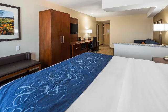 جناح بسريرين كوين لذوي الإعاقة، Comfort Suites El Paso Airport 2/9