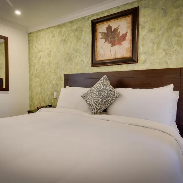 غرفة مفردة بسرير كينج للمدخنين، VAGABOND INN SAN PEDRO 2/5